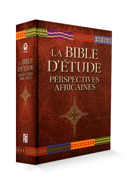 BIBLE D'ETUDE NBS (LA) - PERSPECTIVES AFRICAINES