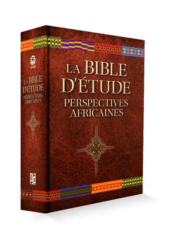 BIBLE D'ETUDE NBS (LA) - PERSPECTIVES AFRICAINES