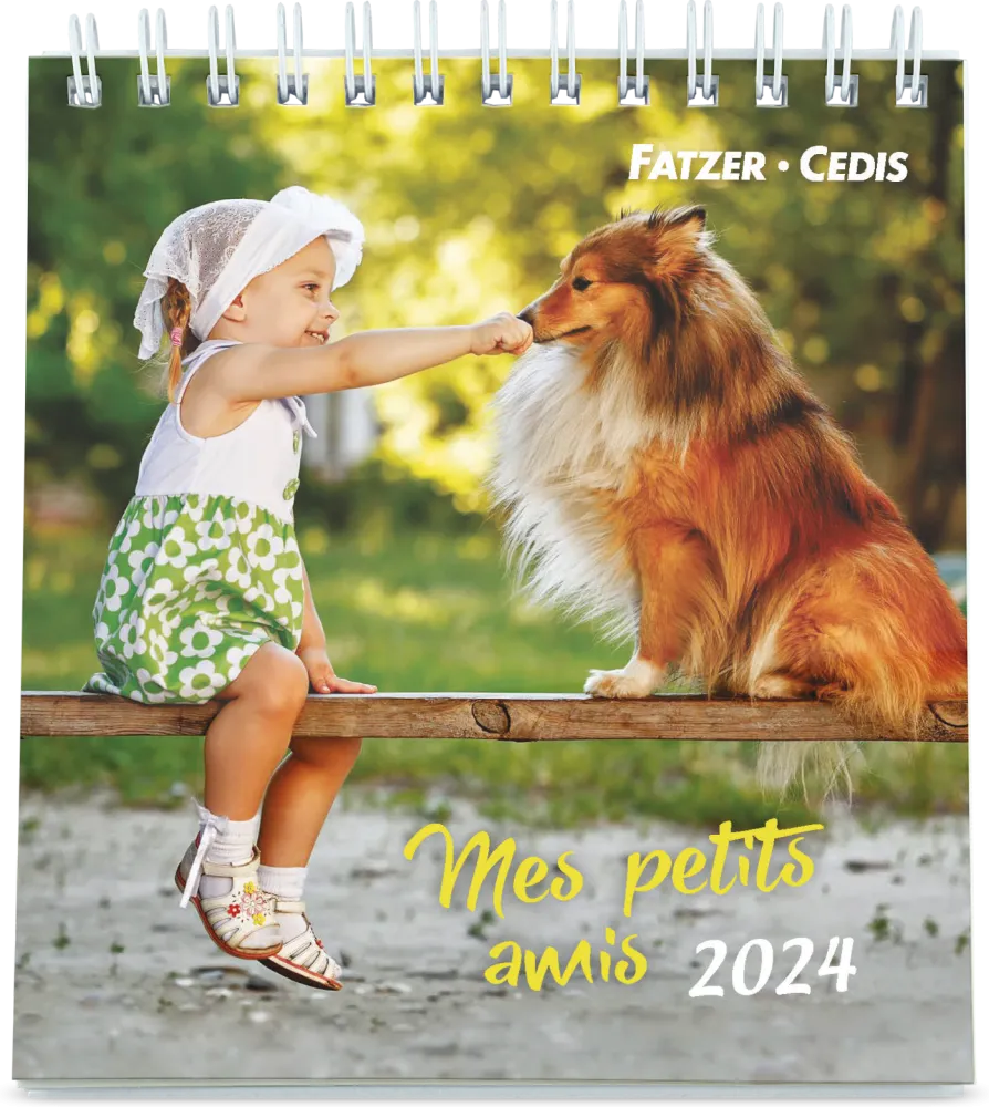 CALENDRIER CED MES PETITS AMIS AVEC TEXTES BIBLIQUES