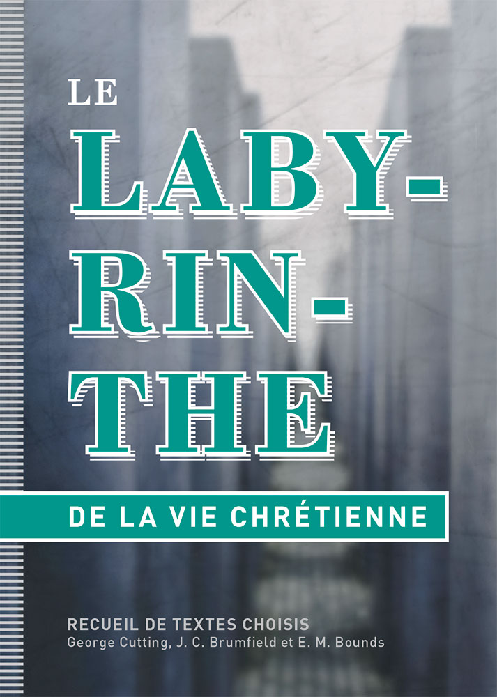 LABYRINTHE DE LA VIE CHRETIENNE (LE) - RECUEIL DE TEXTES CHOISIS