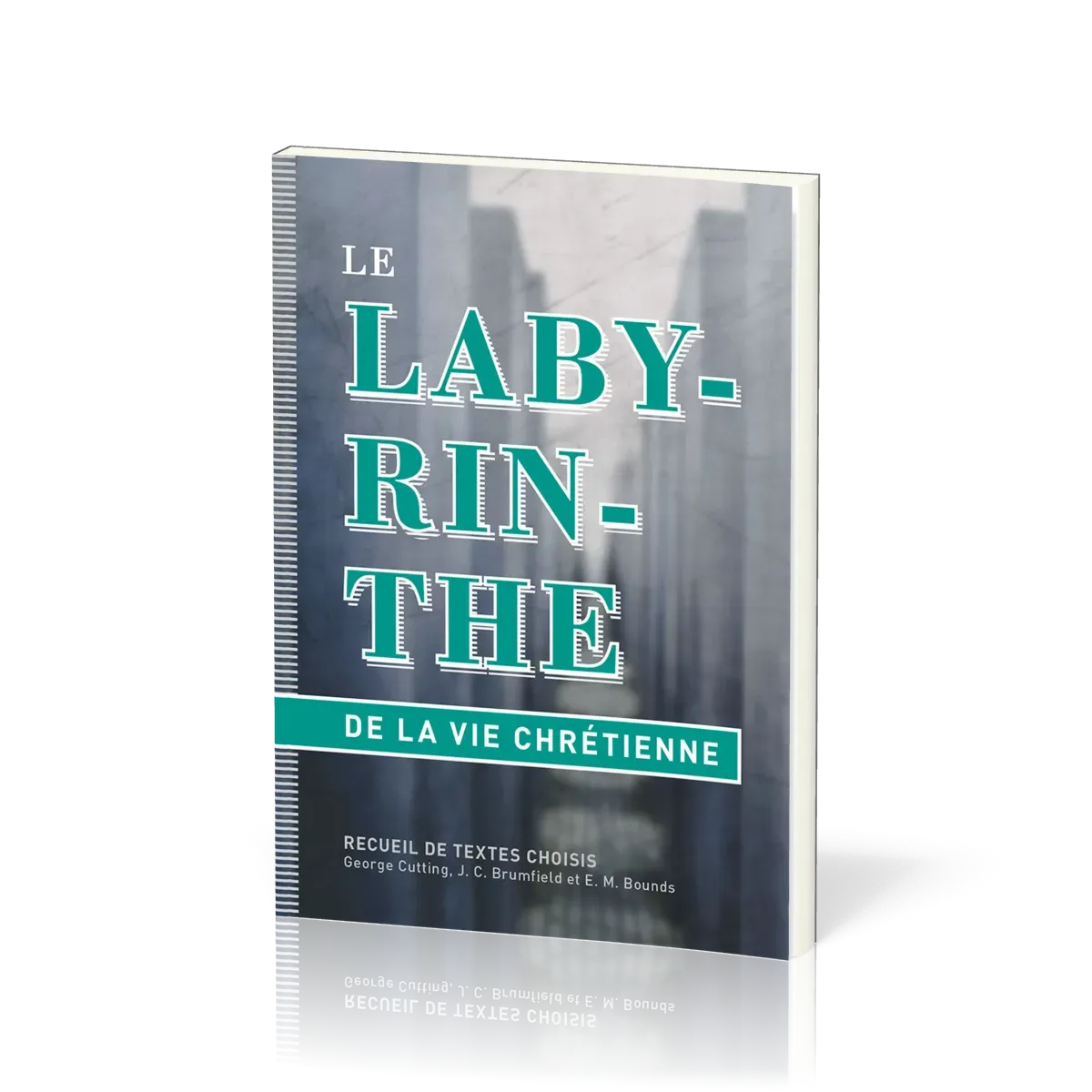 LABYRINTHE DE LA VIE CHRETIENNE (LE) - RECUEIL DE TEXTES CHOISIS