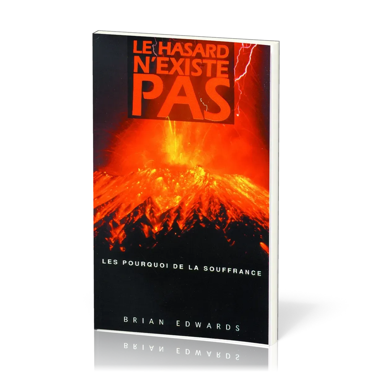 HASARD N'EXISTE PAS (LE)