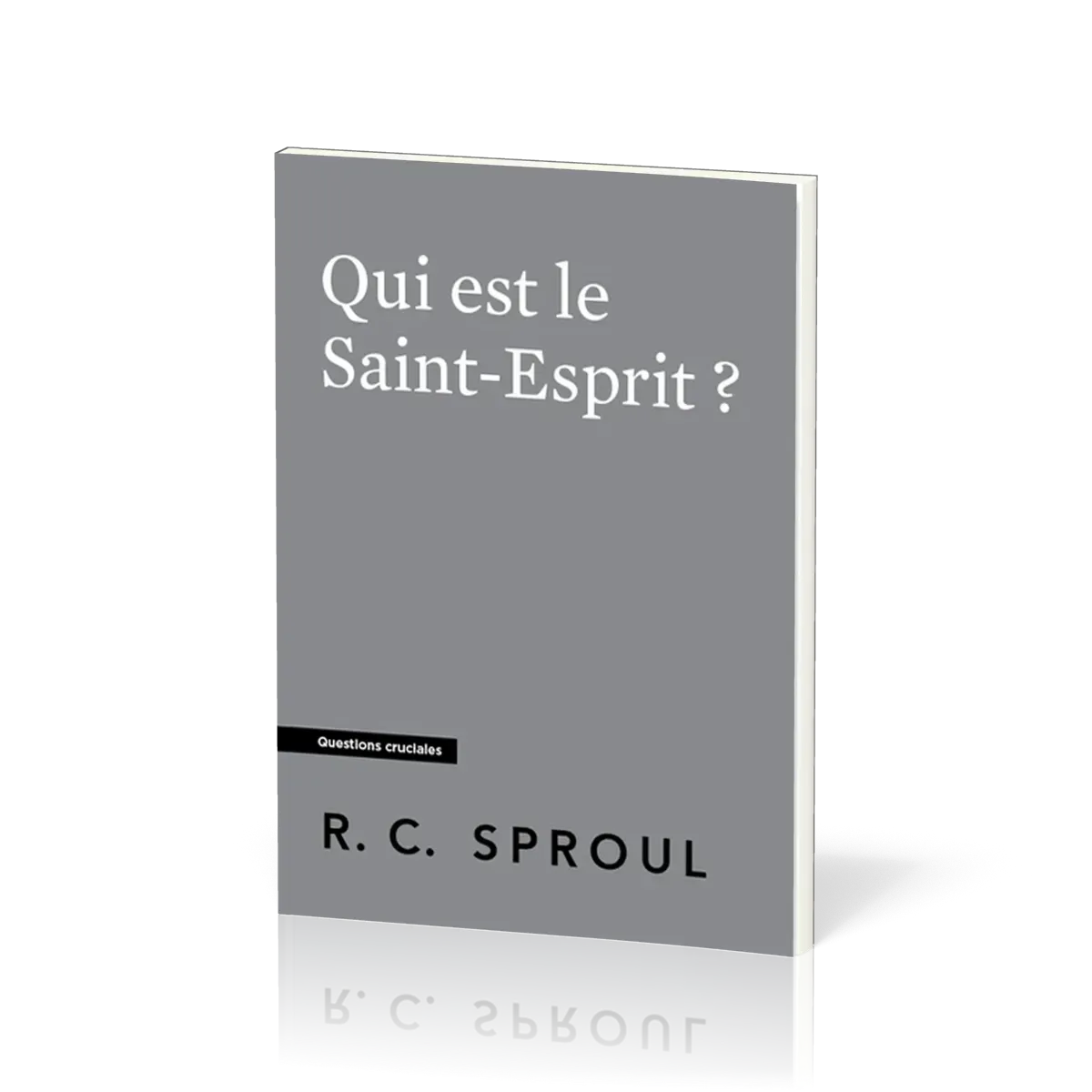 QUI EST LE SAINT-ESPRIT ?
