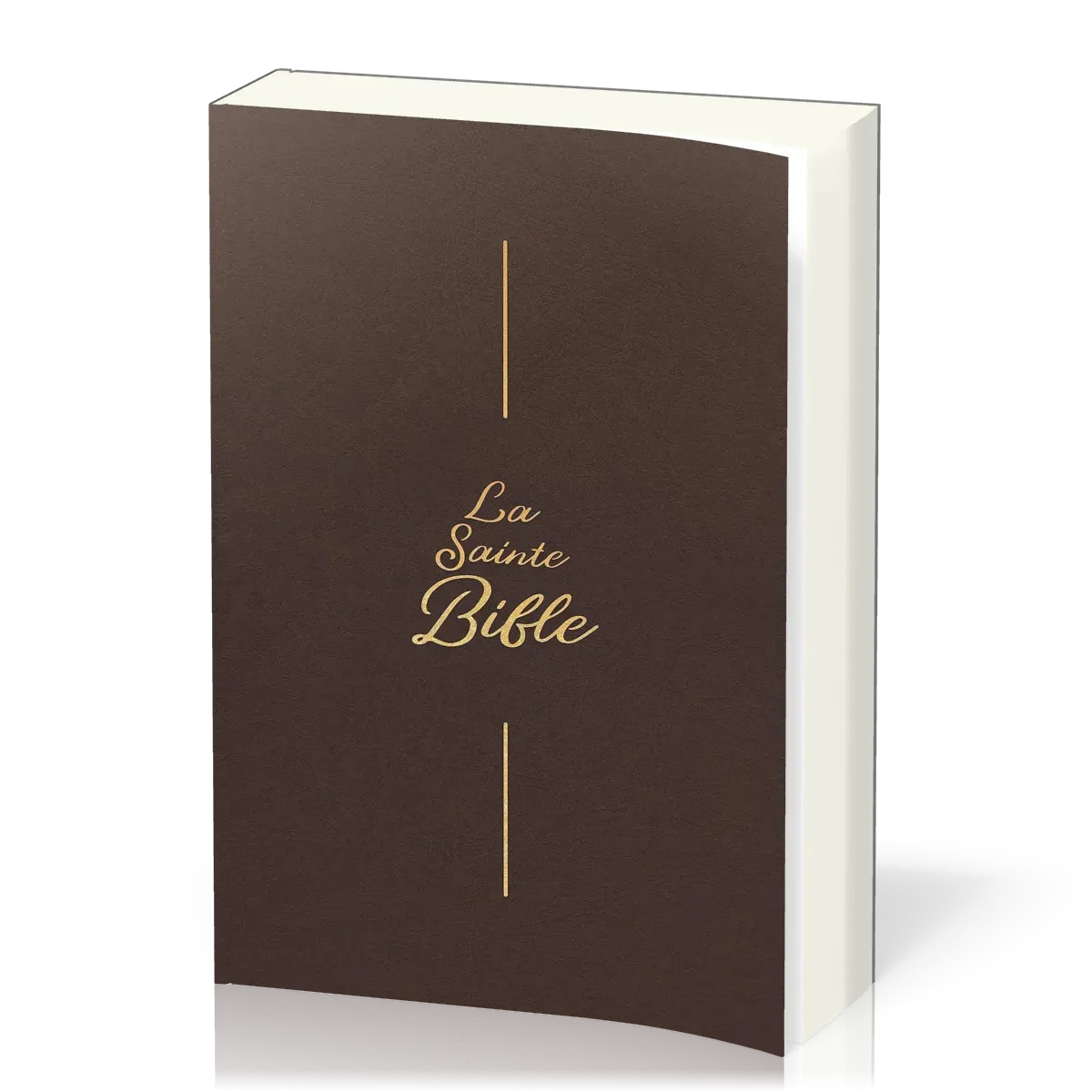 BIBLE SEGOND 1910 GROS CARACTERES SOUPLE BRUN