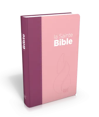 BIBLE NEG COMPACTE SOUPLE TOILE DUO ROSE PRALINE / VIOLET FRUITS DES BOIS EN TOILE