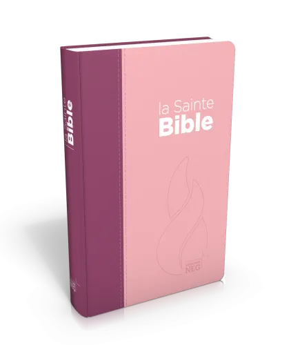 BIBLE NEG COMPACTE SOUPLE TOILE DUO ROSE PRALINE / VIOLET FRUITS DES BOIS EN TOILE