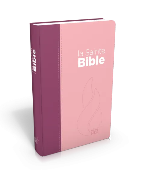 BIBLE NEG COMPACTE SOUPLE TOILE DUO ROSE PRALINE / VIOLET FRUITS DES BOIS EN TOILE