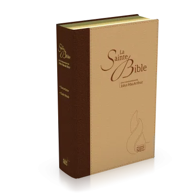 BIBLE NEG MACARTHUR SOUPLE TOILE DUO MARRON ET BEIGE TRANCHE OR ONGLETS