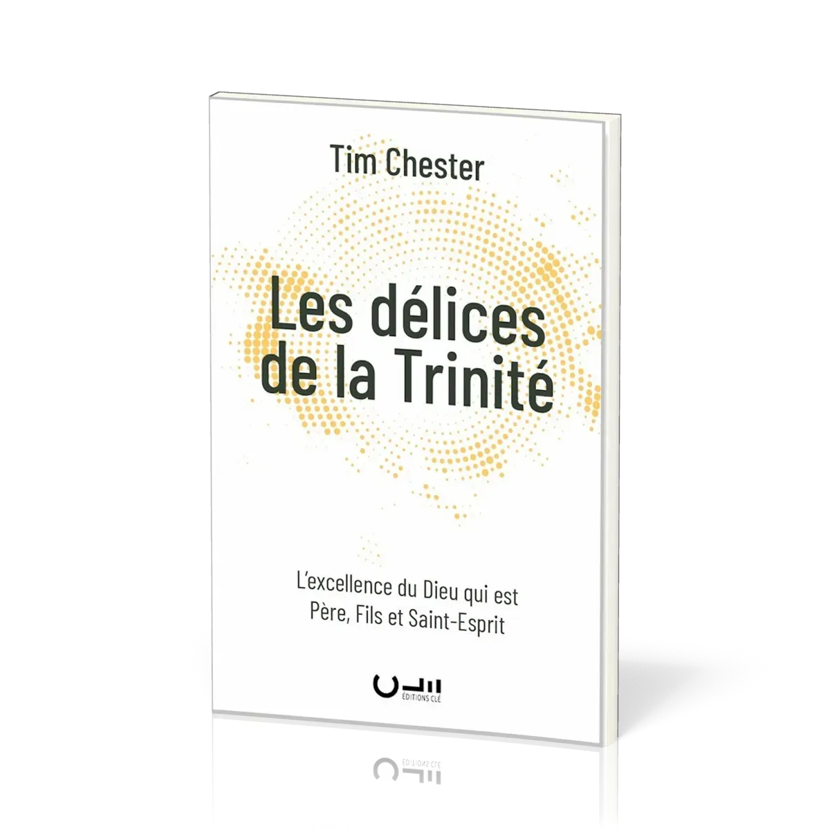 DELICES DE LA TRINITE (LES) - L'EXCELLENCE DU DIEU QUI EST PERE, FILS ET SAINT-ESPRIT