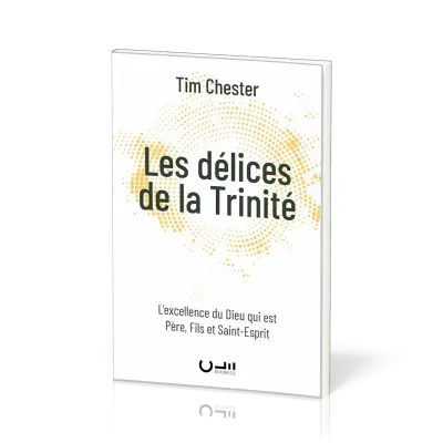 DELICES DE LA TRINITE (LES) - L'EXCELLENCE DU DIEU QUI EST PERE, FILS ET SAINT-ESPRIT