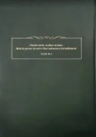 BIBLE COLOMBE THOMPSON RIGIDE VERTE ONGLETS