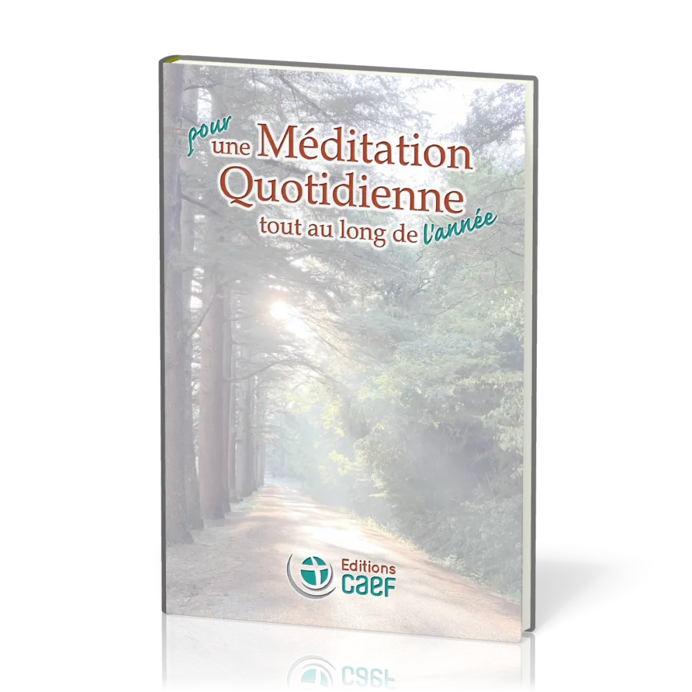 POUR UNE MEDITATION QUOTIDIENNE TOUTE AU LONG DE L'ANNEE