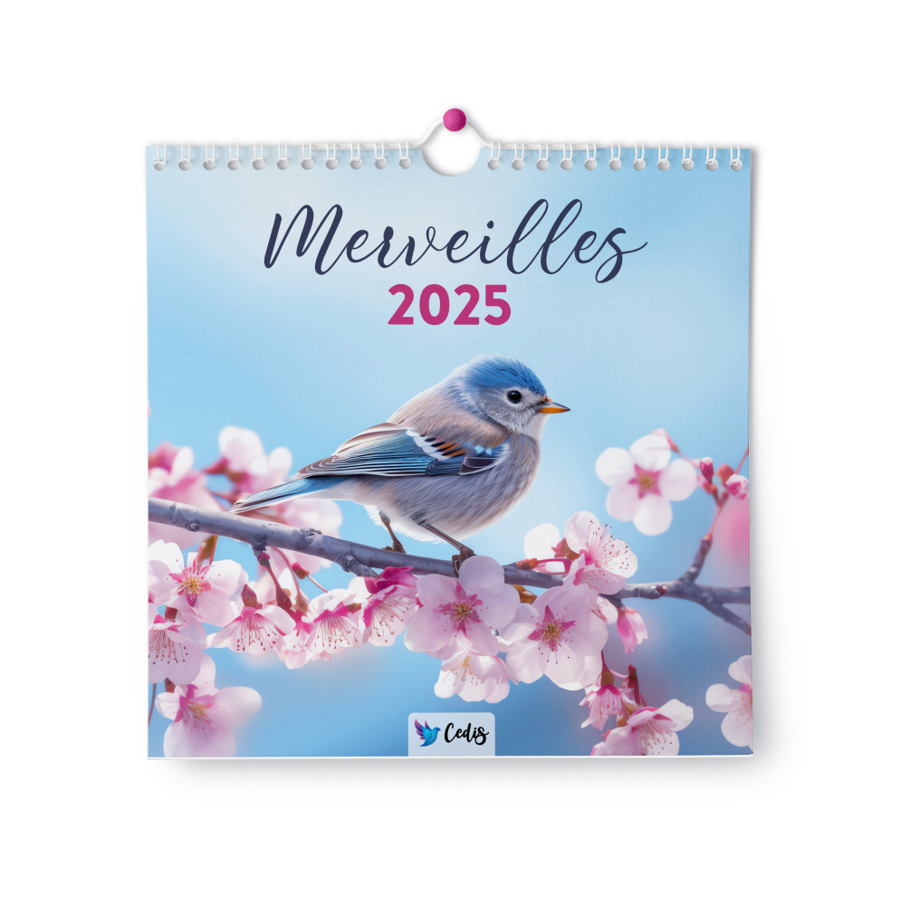 CALENDRIER CED MERVEILLES (SANS TEXTES)