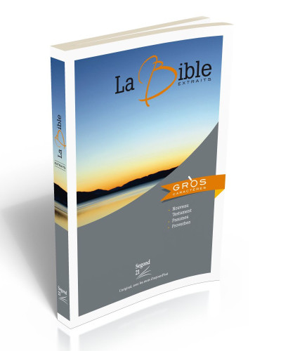 N.T. PS PROV SEGOND 21 BROCHE ILLUSTRE GROS CARACTERES SG12808