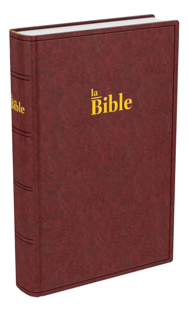 BIBLE DARBY COMPACT RIGIDE BRUN-ROUGE