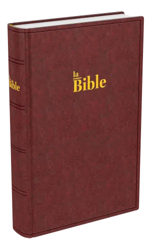 BIBLE DARBY COMPACT RIGIDE BRUN-ROUGE