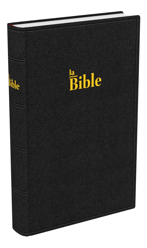 BIBLE DARBY STANDARD RIGIDE NOIR