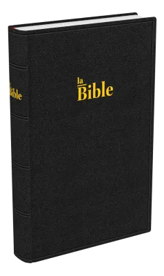 BIBLE DARBY STANDARD RIGIDE NOIR