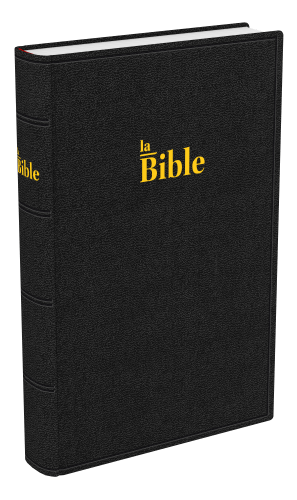 BIBLE DARBY STANDARD RIGIDE NOIR
