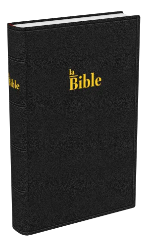 BIBLE DARBY STANDARD RIGIDE NOIR