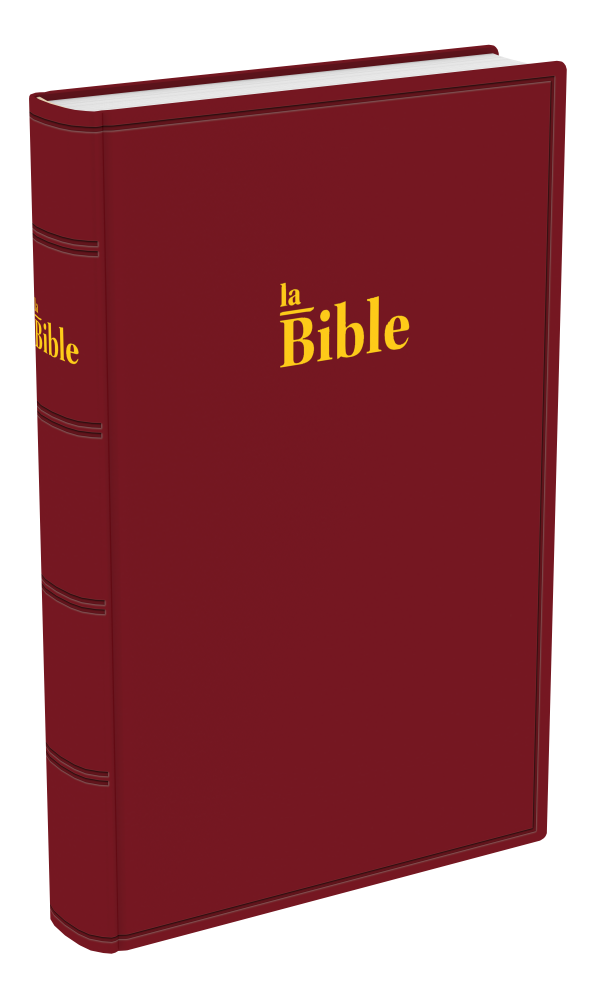 BIBLE DARBY STANDARD RIGIDE GRENAT