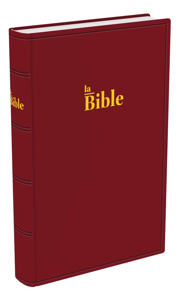 BIBLE DARBY STANDARD RIGIDE GRENAT
