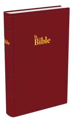 BIBLE DARBY STANDARD RIGIDE GRENAT