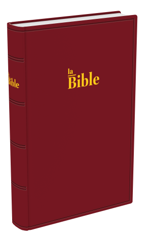 BIBLE DARBY STANDARD RIGIDE GRENAT