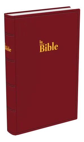 BIBLE DARBY STANDARD RIGIDE GRENAT