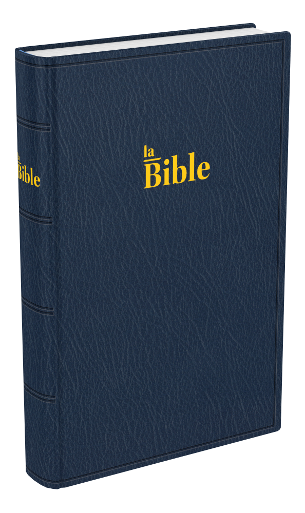 BIBLE DARBY STANDARD SOUPLE BLEU