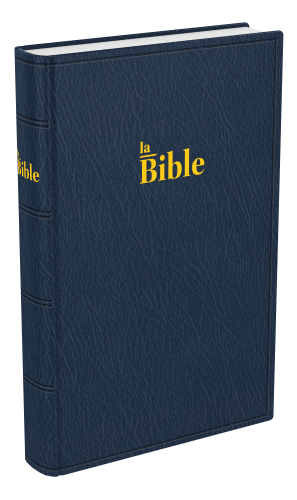 BIBLE DARBY STANDARD SOUPLE BLEU