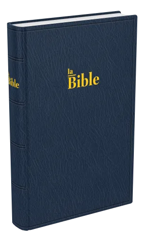 BIBLE DARBY STANDARD SOUPLE BLEU