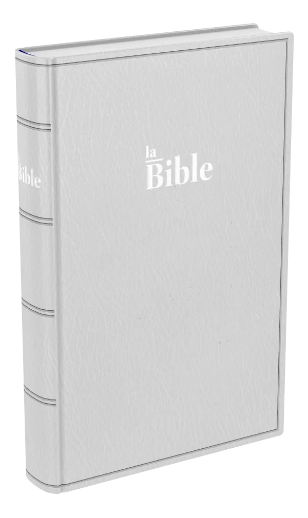 BIBLE DARBY STANDARD SOUPLE GRIS