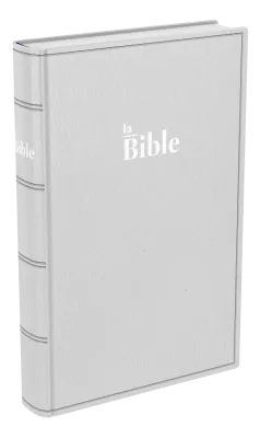 BIBLE DARBY STANDARD SOUPLE GRIS