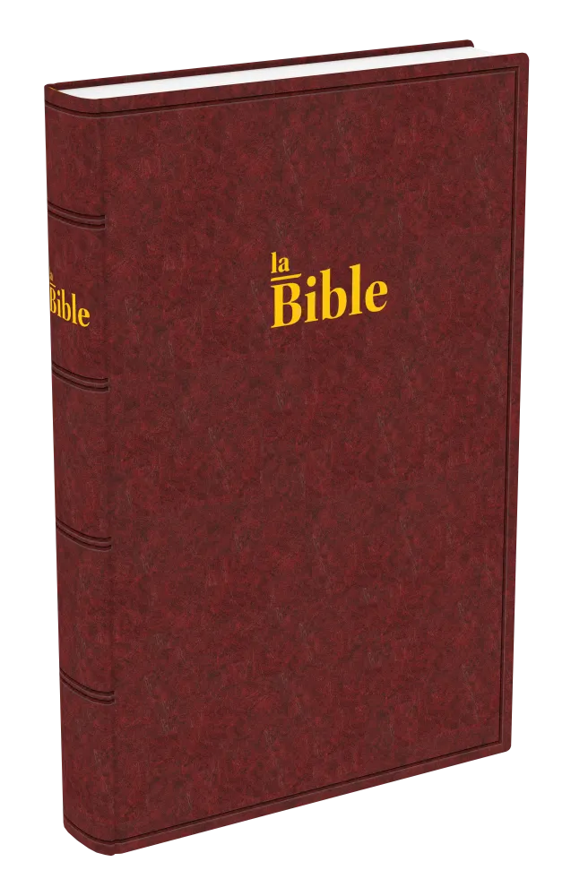 BIBLE DARBY GRAND RIGIDE BRUN-ROUGE