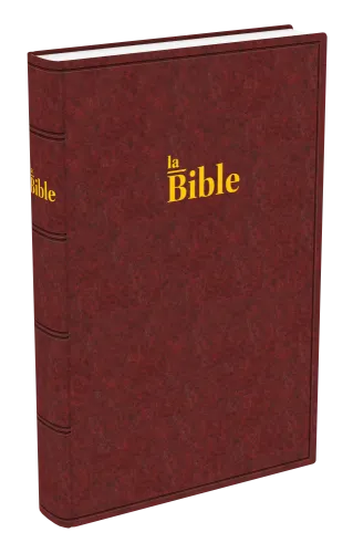 BIBLE DARBY GRAND RIGIDE BRUN-ROUGE