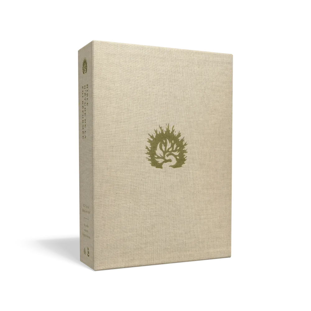 BIBLE COLOMBE D'ETUDE DE LA FOI REFORMEE SOUPLE SIMILICUIR BRUN CLAIR BIBLE COLOMBE D'ETUDE DE LA FOI REFORMEE SOUPLE SIMILICUIR BRUN CLAIR