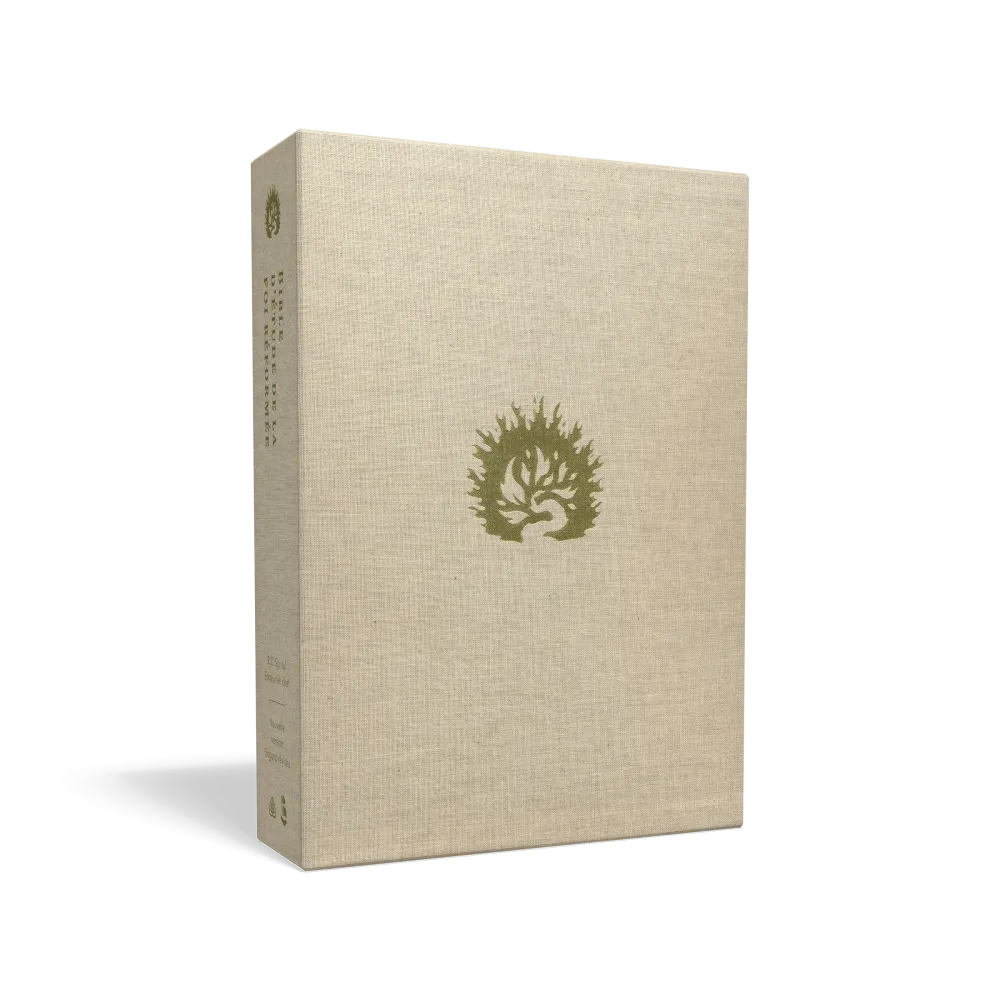 BIBLE COLOMBE D'ETUDE DE LA FOI REFORMEE SOUPLE SIMILICUIR ANTHRACITE BIBLE COLOMBE D'ETUDE DE LA FOI REFORMEE SOUPLE SIMILICUIR ANTHRACITE