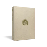BIBLE COLOMBE D'ETUDE DE LA FOI REFORMEE SOUPLE SIMILICUIR ANTHRACITE BIBLE COLOMBE D'ETUDE DE LA FOI REFORMEE SOUPLE SIMILICUIR ANTHRACITE