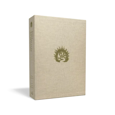 BIBLE COLOMBE D'ETUDE DE LA FOI REFORMEE SOUPLE SIMILICUIR BLANC