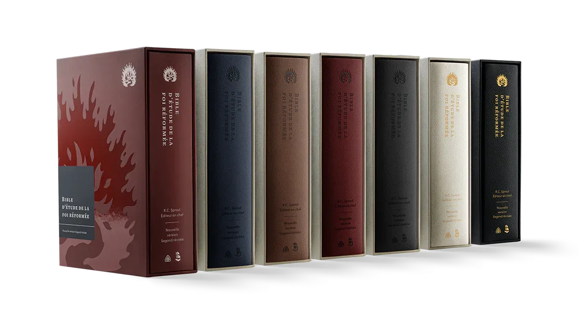 BIBLE COLOMBE D'ETUDE DE LA FOI REFORMEE RIGIDE POURPRE