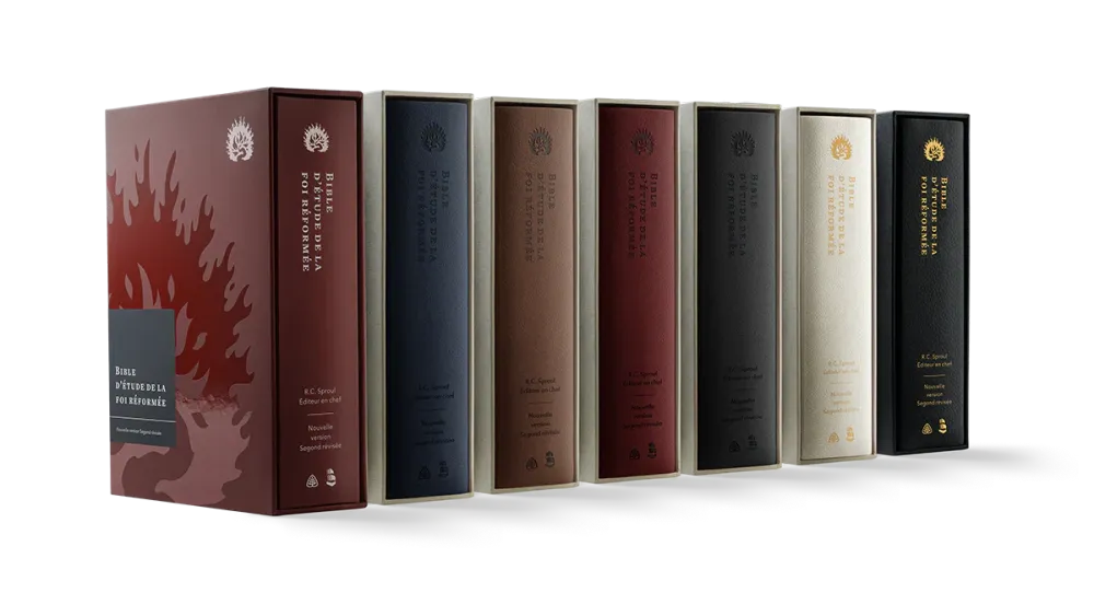BIBLE COLOMBE D'ETUDE DE LA FOI REFORMEE SOUPLE SIMILICUIR BRUN CLAIR BIBLE COLOMBE D'ETUDE DE LA FOI REFORMEE SOUPLE SIMILICUIR BRUN CLAIR