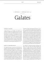 BIBLE COLOMBE D'ETUDE DE LA FOI REFORMEE SOUPLE SIMILICUIR ANTHRACITE BIBLE COLOMBE D'ETUDE DE LA FOI REFORMEE SOUPLE SIMILICUIR ANTHRACITE