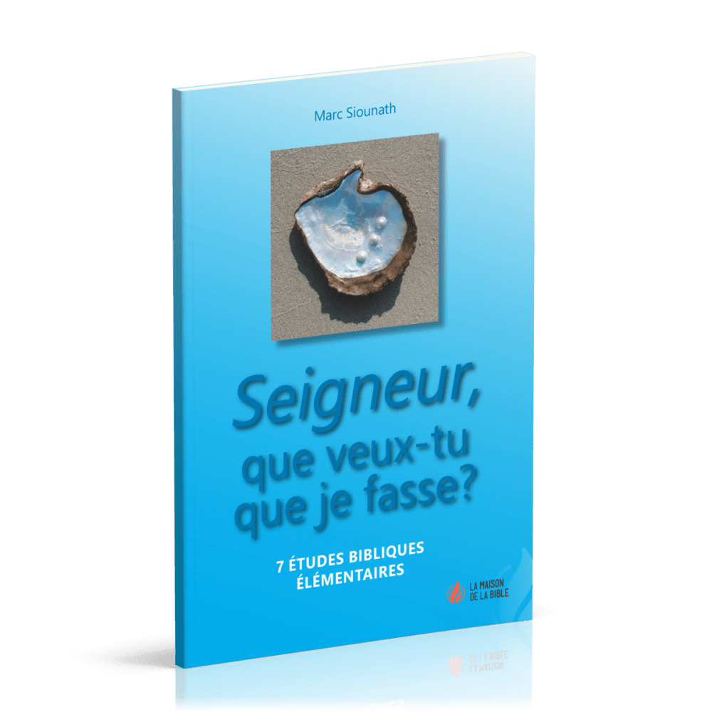 SEIGNEUR QUE VEUX-TU QUE JE FASSE