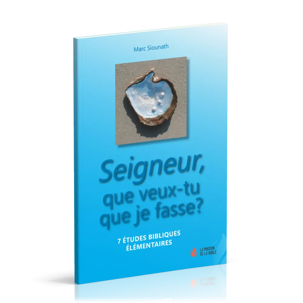 SEIGNEUR QUE VEUX-TU QUE JE FASSE
