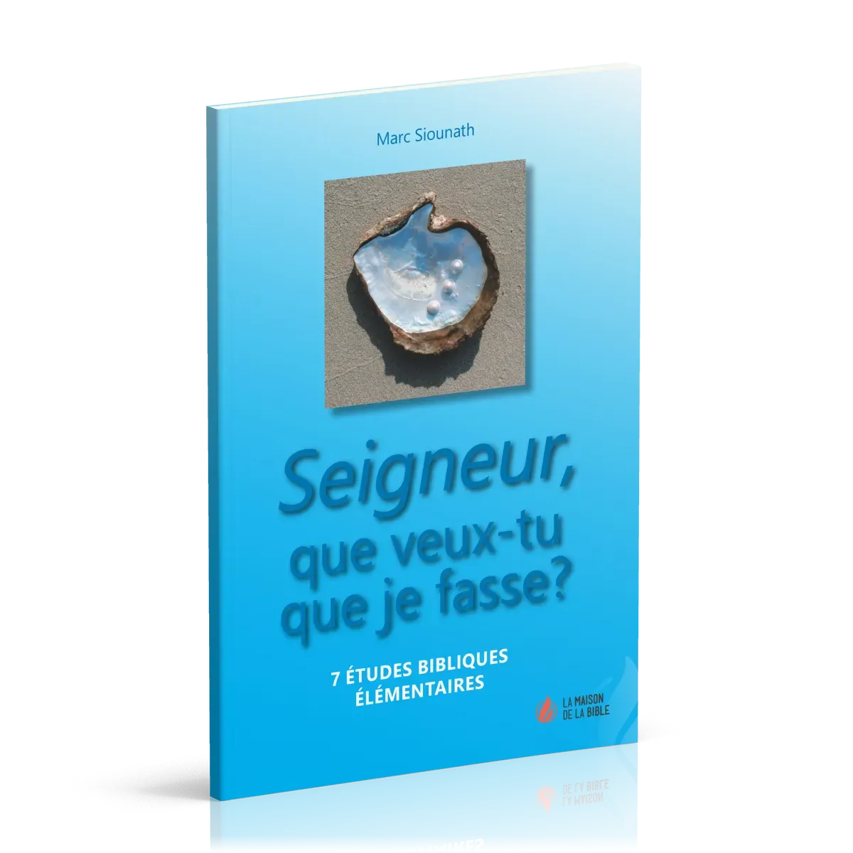 SEIGNEUR QUE VEUX-TU QUE JE FASSE