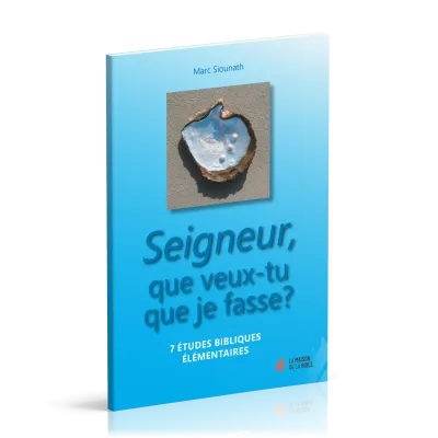 SEIGNEUR QUE VEUX-TU QUE JE FASSE