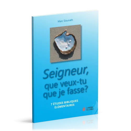 SEIGNEUR QUE VEUX-TU QUE JE FASSE