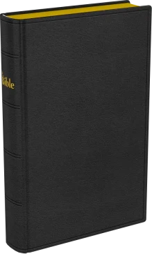 BIBLE DARBY COMPACT SOUPLE CUIR NOIR