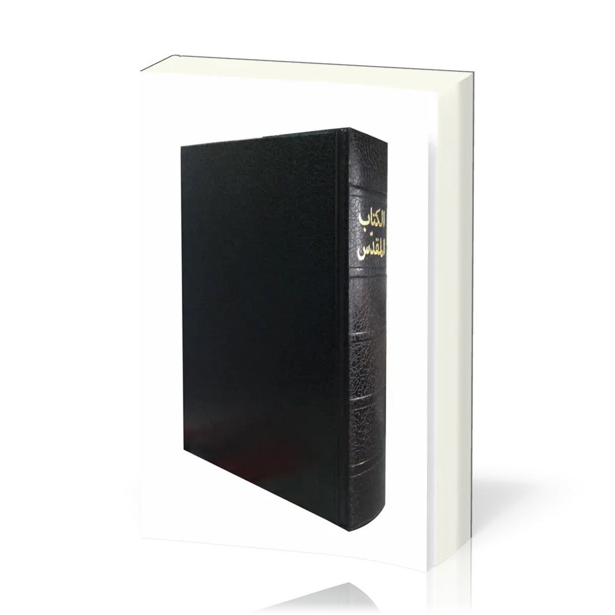 ARABE BIBLE VAN DICK RIGIDE NOIRE